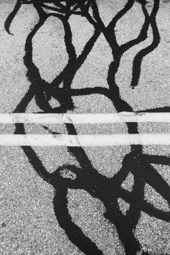 Pavement 2 Narragansett Rhode Island (02 LUM).jpg Pavement 2 Narragansett Rhode Island (02 LUM).jpg